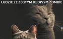 Oni przetrwają