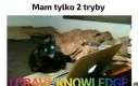 Tylko 2 tryby mózgu