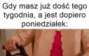 Rzycie, rzycie jest nowelą, Iga 6 a Eva 0