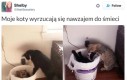 To mieszkanie jest za małe dla nas dwóch