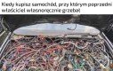 Nie będąc bynajmniej mechanikiem