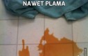 Nawet plama