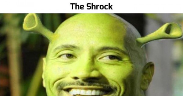 The Rock Shrek - Shrock - Meme Dwayne Johnson