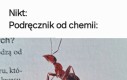 Szkoła bawi i uczy