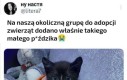 Takiego co?