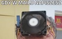 Z pozdrowieniami, Partycja
