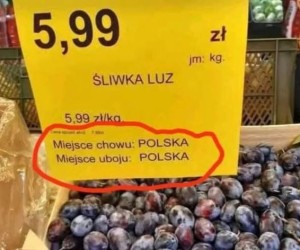 Mam nadzieję, że chociaż humanitarnie