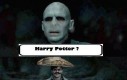 Harry Potter?