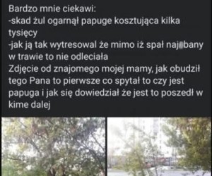 Prawie to samo