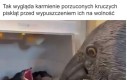 Całe życie w kłamstwie