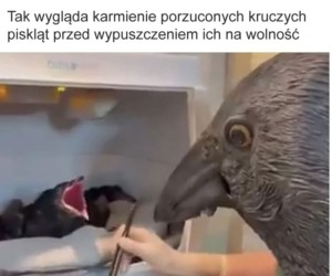 Całe życie w kłamstwie