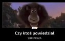 Rozkręcamy imprezę