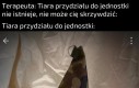 To co jest tam Slytherinem?
