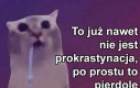 Ambicje są dla zdrajców narodu