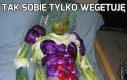 Tak sobie tylko wegetuję