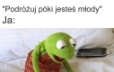 Przyczepiony pod tirem jest tanio, ale mało przyjemnie