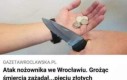 Co tak szczodrze