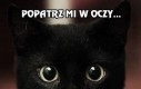 Popatrz mi w oczy