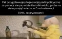 Mat będzie doradcą politycznym
