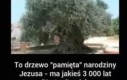 Fakt powszechnie znany