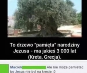 Fakt powszechnie znany