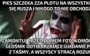 Życie nie jest sprawiedliwe