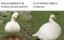 Bóg mnie nienawidzi