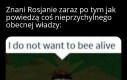 Wypadają z okien jak Brytyjczycy w hiszpańskich hotelach