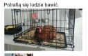 Potrafią się ludzie bawić