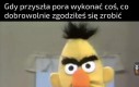 Po co mi była ta umowa