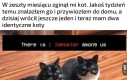 Nie zamierzam wnikać, który jest który