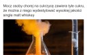 Wytrawny trunek