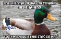 Jeśli nie stać Cię na utrzymanie siebie samego...