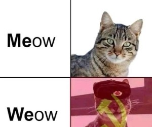 Wspólnota