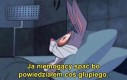 Jak suseł