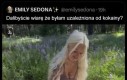 Zdecydowanie