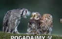 Pogadajmy :V