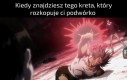 Mam cię, gnoju!