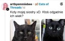 Ocenianie wieku kota