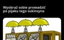 Godny rywal Miasto Katsuragi