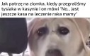Są rzeczy ważne i ważniejsze