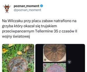 Takie grzybki jednak istnieją
