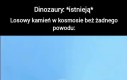 Ale Niktowski jakoś przeżył