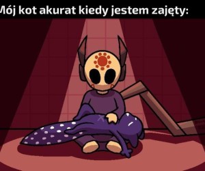 Włóczniokotek