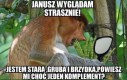 Janusz komplemenciarz
