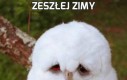 Zeszłej zimy