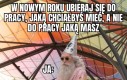 Praca marzeń