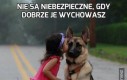 Nie są niebezpieczne, gdy dobrze je wychowasz