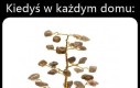 Miałem, nie działa
