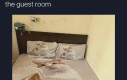 Pokój dla gości